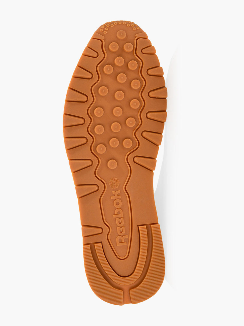 Reebok / Classic Leather Sp / Shoe