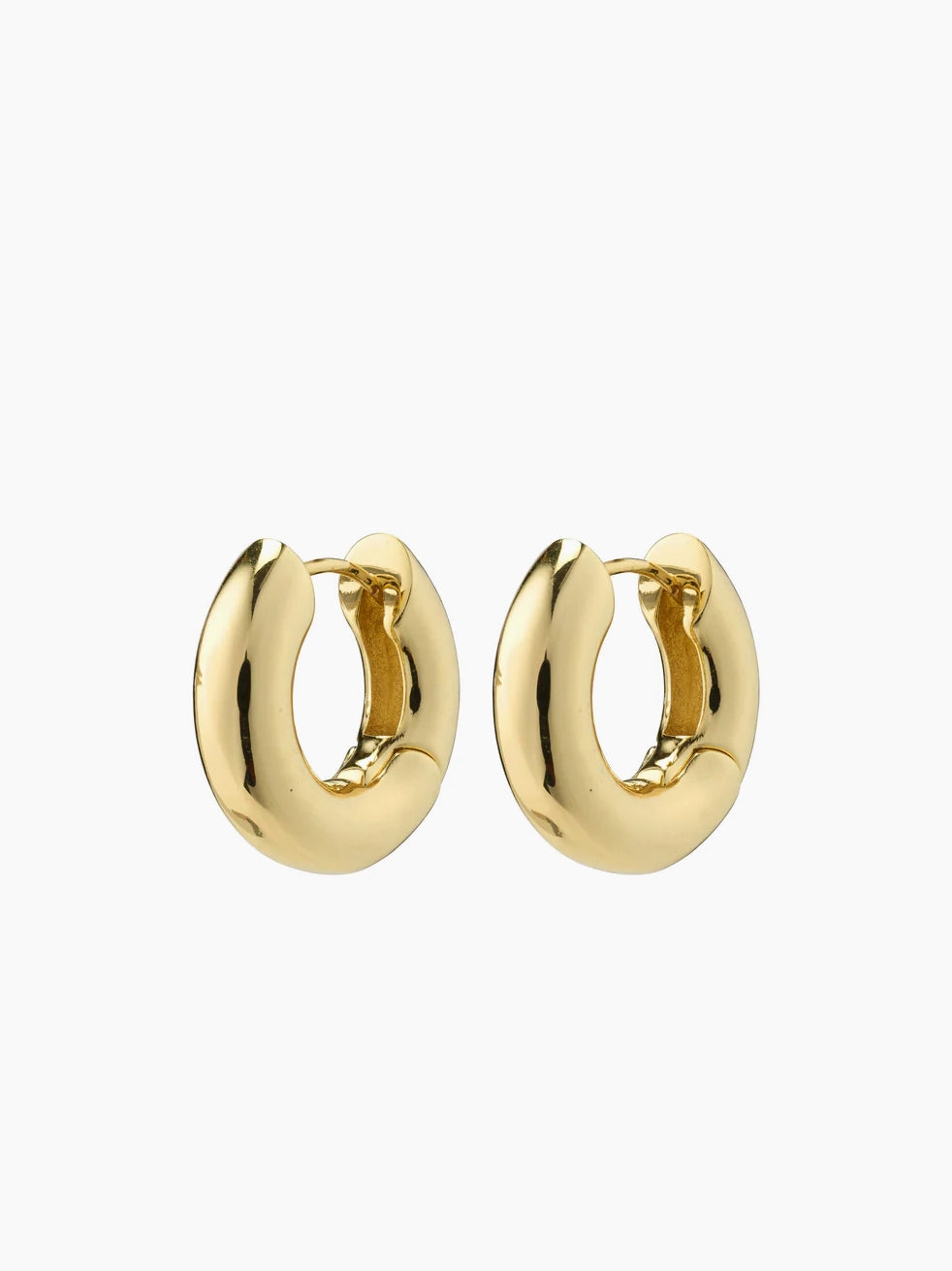 Pilgrim - Aica Hoops