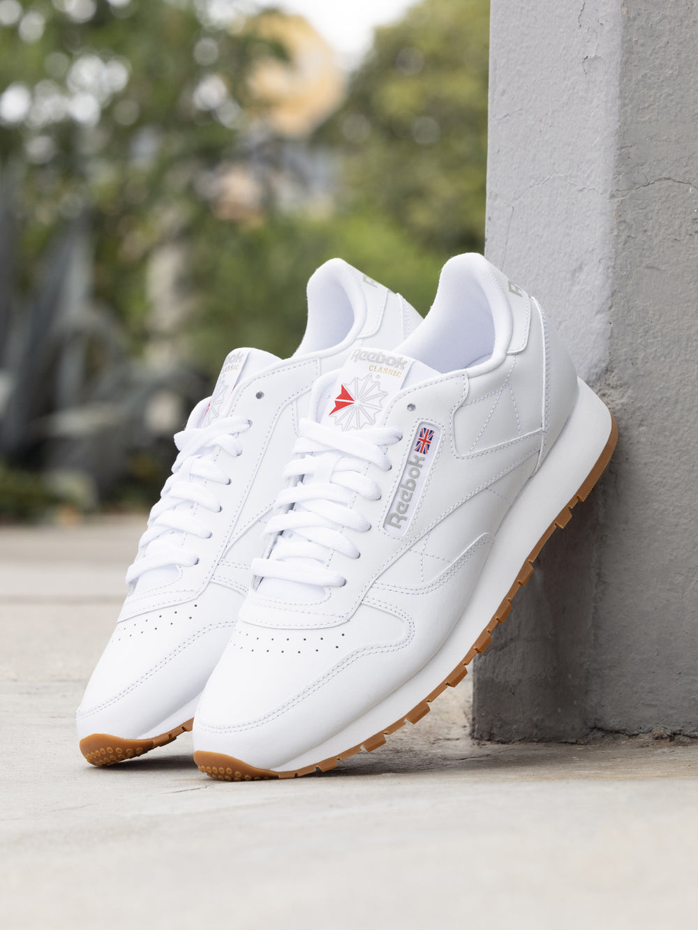 Reebok / Classic Leather Sp / Shoe