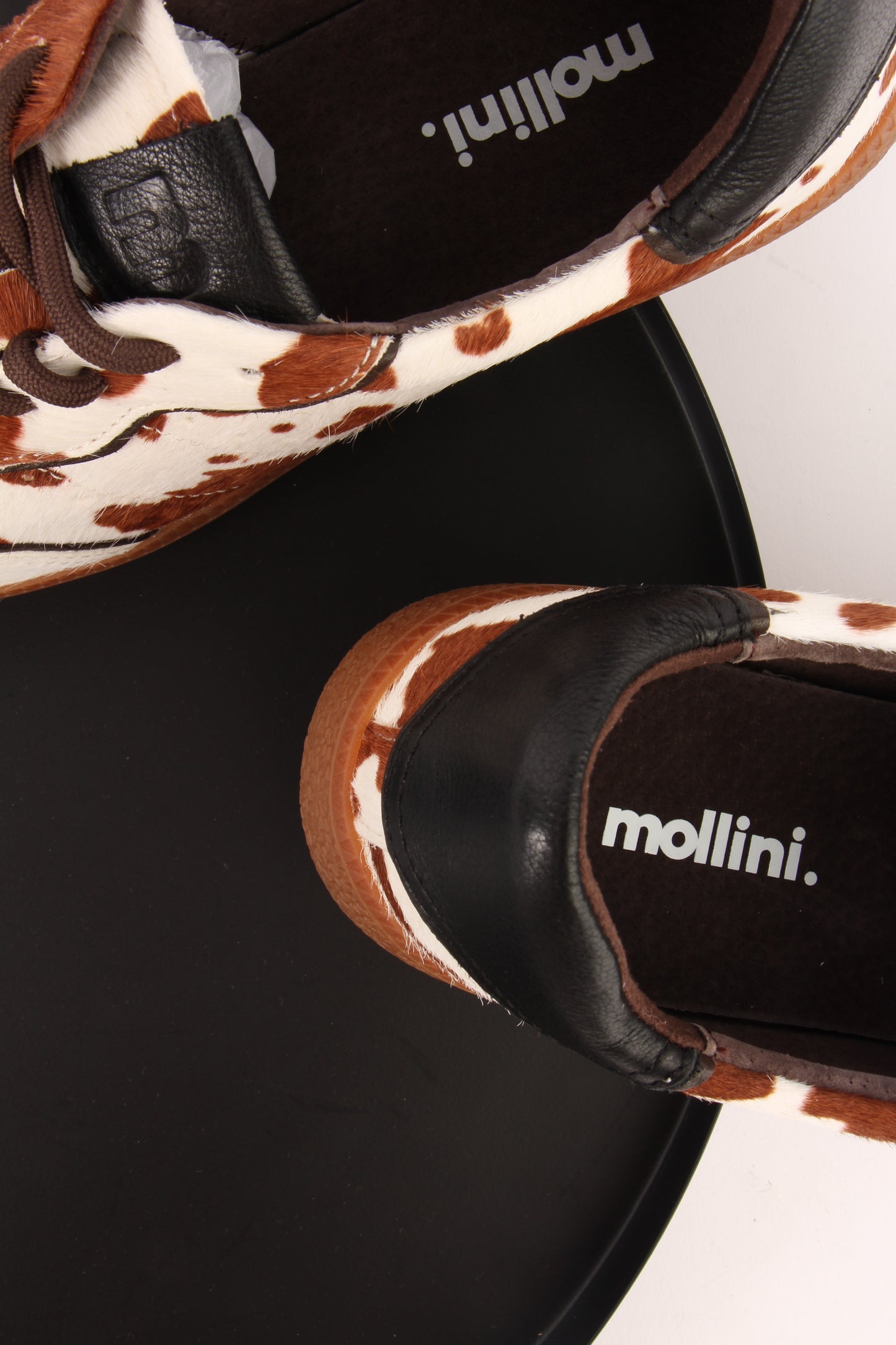 
                  
                    Mollini - Danssing
                  
                