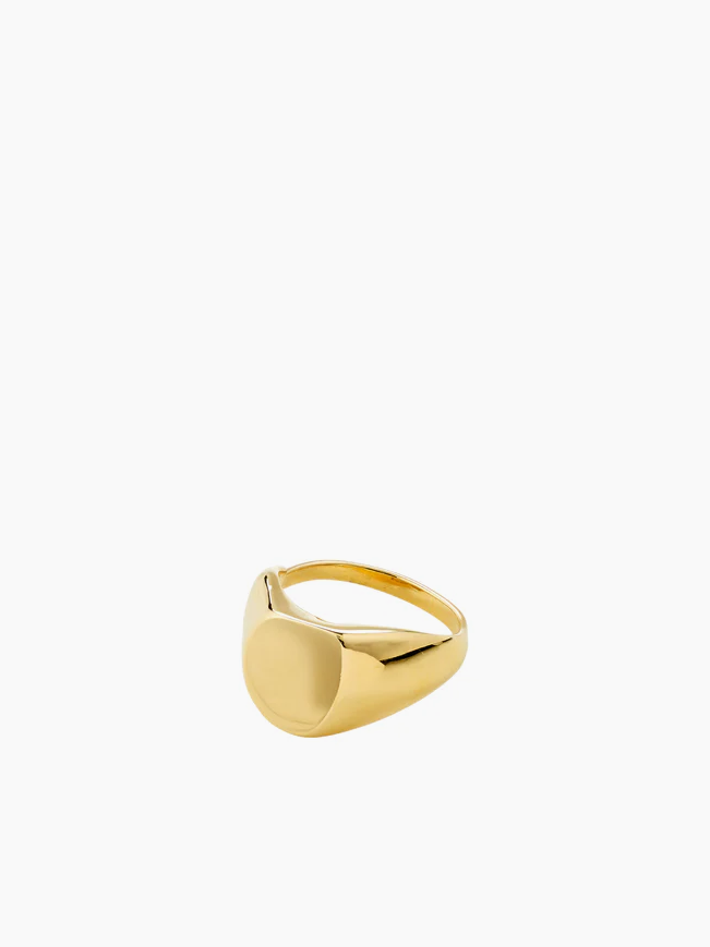 
                  
                    Pilgrim - Presence Ring
                  
                
