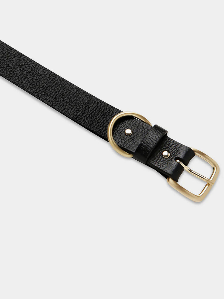 
                  
                    Status Anxiety - Disarm
                  
                