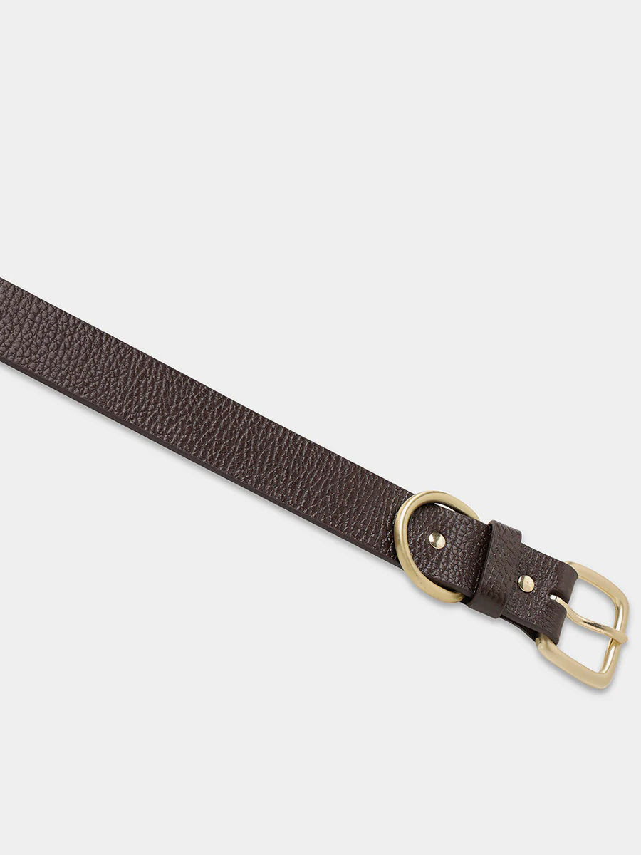 
                  
                    Status Anxiety - Disarm
                  
                